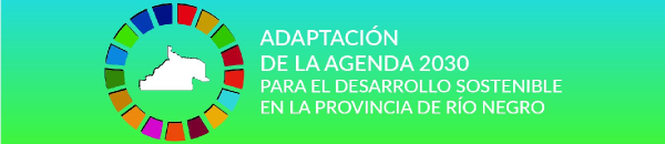 Adaptacin Provincial Agenda 2030 de la ONU